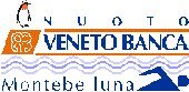 Logo di VENETO BANCA MONTEBELLUNA
